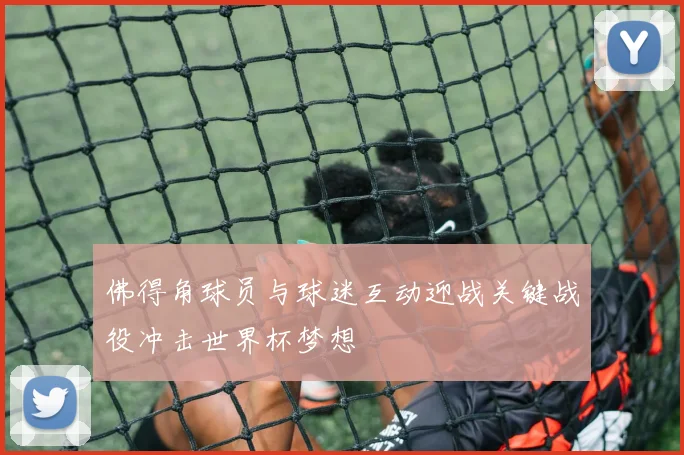 佛得角球员与球迷互动迎战关键战役冲击世界杯梦想