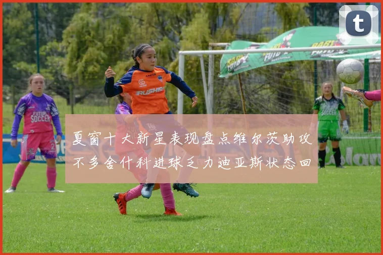 夏窗十大新星表现盘点维尔茨助攻不多舍什科进球乏力迪亚斯状态回暖