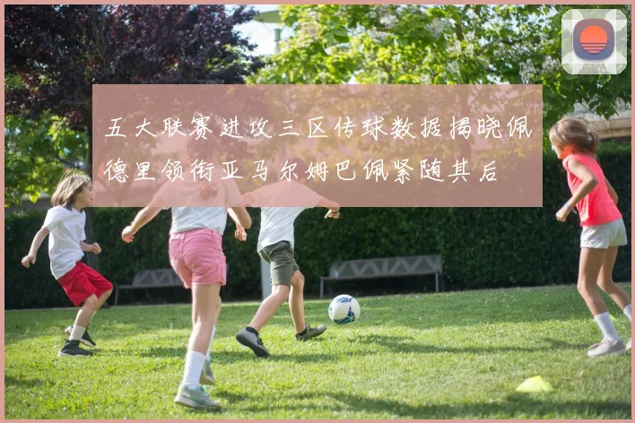 五大联赛进攻三区传球数据揭晓佩德里领衔亚马尔姆巴佩紧随其后