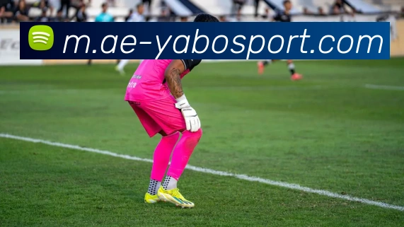 亚博足球平台生态图